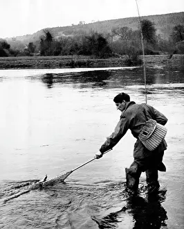 Suir: FRESHWATER FISHING