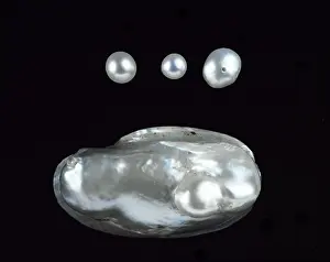 Glossy: Freshwater pearls