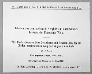 Freuds: FREUD/1ST PAPER/87