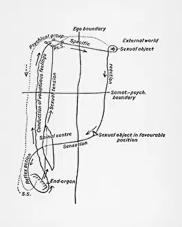 Sigmund Freud Copyrights: FREUD/SEXUAL DIAGRAM/263