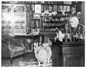 Chow: FREUD IN STUDY 1936