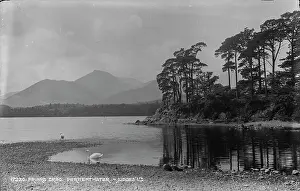 Swans: Friars Crag at Derwentwater