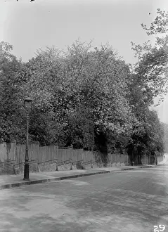 Beadle: Friday Hill, Erith Road