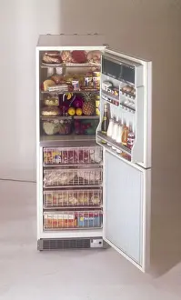 Freezer: THE FRIDGE FREEZER