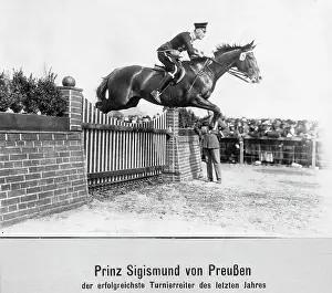 Sigismund: Friedrich-Sigismund