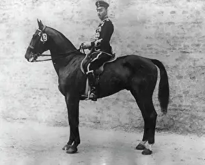 Sigismund: Friedrich-Sigismund
