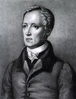 Tiedemann: Friedrich Tiedemann, German Anatomist and Physiologist