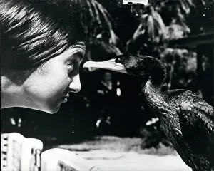 Attachment: Friends with a cormorant
