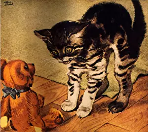 Harmless: Frightened Kitten