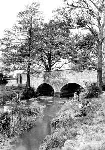 Frimley: Frimley, Bridge 1906