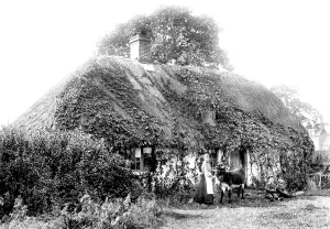 Frimley: Frimley Green, Old Cottage 1906