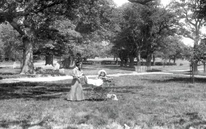Childcare: Frimley, Pram in the Grove 1906