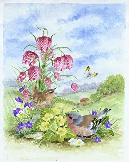 Comerford: Fritillaries, Wren and Chaffinch