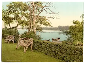 Decoy: Fritton Decoy, Fritton, England