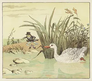 Wooing: FROG A-WOOING 1/4