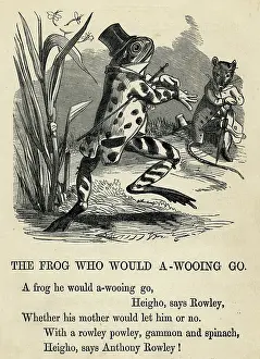 Wooing: A Frog He Would a-wooing Go