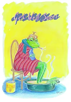 Goodwin: Frog with a cold -'Get Well Soon