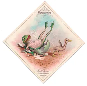 Consternation: Frog and duckling on a Christmas card