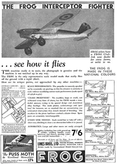 The Frog Interceptor