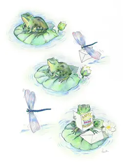 Endersby: Frog on a lily pad with dragonfly and card