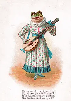Mandolins: Frog playing a mandolin on a French postcard