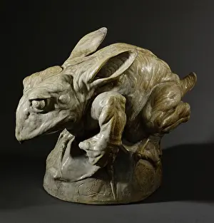Enamelled: Frog with rabbit ears