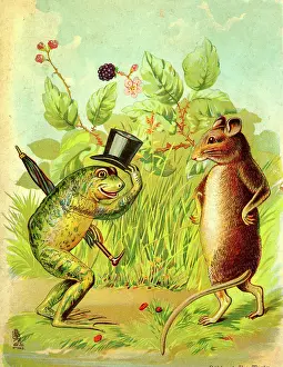 Tuck: The Frog and the Rat