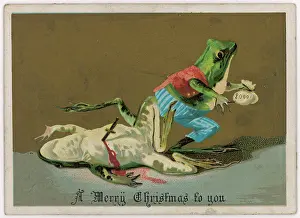 Stabbing: FROG STABS FROG