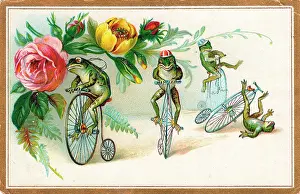 Pennyfarthing: Four frogs on bicycles with flowers on a greetings card