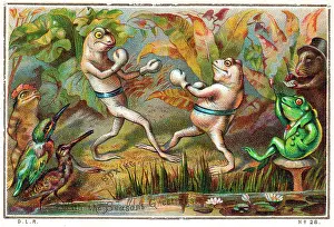 Kingfishers: Frogs boxing on a Christmas card