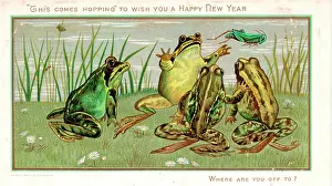 Grasshoppers: Frogs and grasshopper on a New Year card