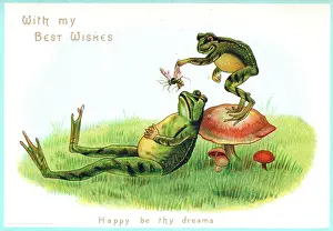 Dangle: Two frogs with insect on a greetings card