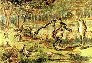Frogs: Frogs leapfrogging in the rain