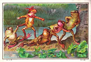 Dragonflies: Frogs playing blind man's buff on a Christmas card