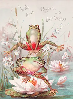 Leapfrog: Two frogs playing leapfrog on a greetings card