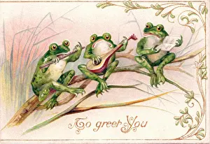 Flutes: Three frogs playing music on a greetings postcard
