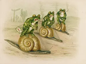 Snails: FROGS RACE ON SNAILS