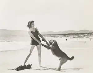 Airedale: Frolicking on the beach