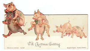 Frolicking: Six frolicking pigs on a Christmas card