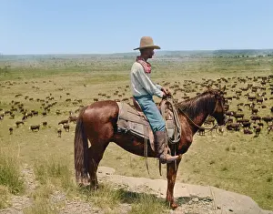 Hickock: US Frontier in Colour
