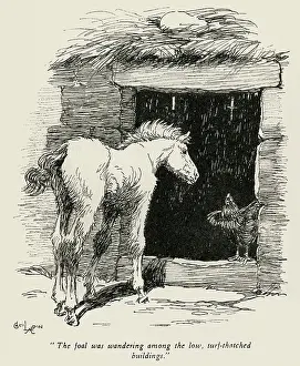 Foals: Frontispiece illustration by Cecil Aldin, Icelandic foal