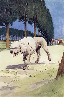 Poodles: Frontispiece illustration by Cecil Aldin, Moufflou, by Ouida