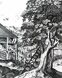 Frontispiece: Frontispiece to the section on house-keeping from