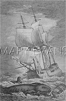 Distraction: Frontispiece to Swift's A Tale of a Tub