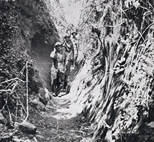 Gully: A frontline wadi in the Anzio beachhead