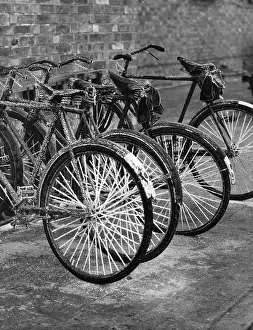 Hoar: FROST BIKE