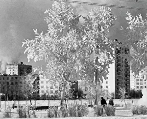 Frosty: Frosty day in Moscow, 1978