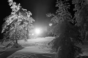 Frosty: Frosty night, 1979