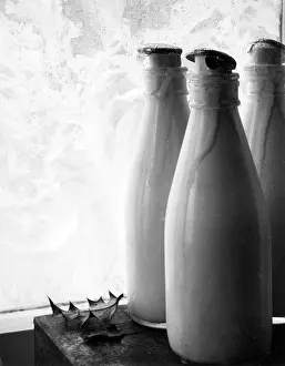 Freezes: FROZEN MILK BOTTLES