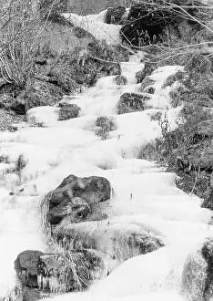 Imagno Brandstätter Images Gmbh: Frozen stream in Carinthia